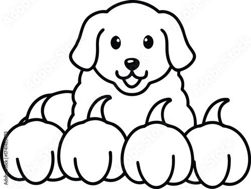 Happy Golden Retriever Puppy Peeking Out from Blanket Line Art Vector illustration