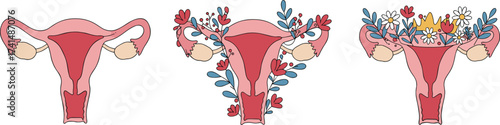 Female reproductive system uterus illustration, ovaries anatomy design with floral decoration, artistic medical vector for fertility, women health, empowerment, feminine body awareness