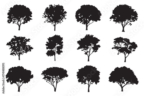 minimalist tree silhouettes collection 12 black outline vectors for logos patterns and backgrounds