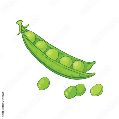 Vector illustration Green pea pod with scattered peas illustration vegetable
