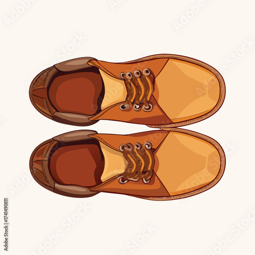 Vector illustration Top view of two brown leather lace up shoes footwear