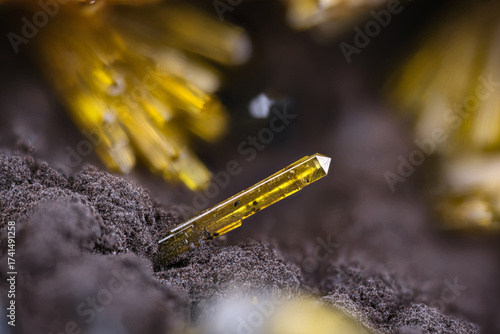 Yellow Parauranophane (Beta Uranophane β) on Pyrolusite Photography. Specimen from Rössing uranium mine, Erongo Region, Namibia. Micro extreme close-up. microscope mineral crystal for Scientific
