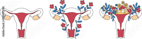 Uterus and ovary illustration, medical anatomy with floral decoration, feminine reproductive system vector, empowerment artwork, fertility health awareness, women body positivity design