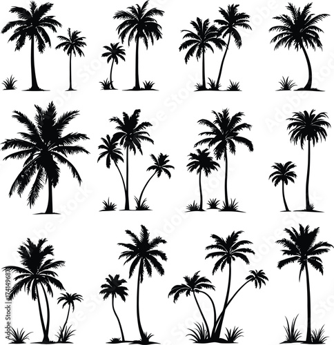 Palm Tree Silhouette Grid Vector Featuring Twelve Unique Tropical Designs with Varied Fronds and Trunk Shapes in Line Art Style