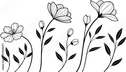 black and white background with flowers