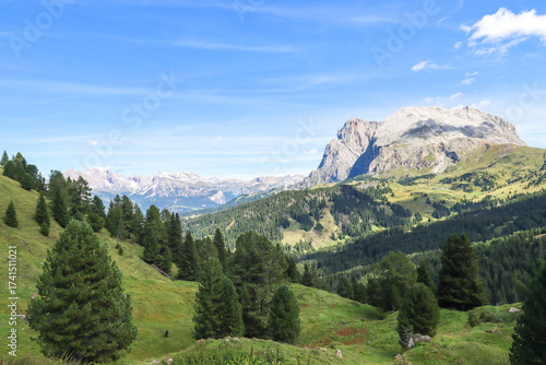 Obraz na plátně Trees ripple across the land, leading the eye to the Dolomites’ rocky heights