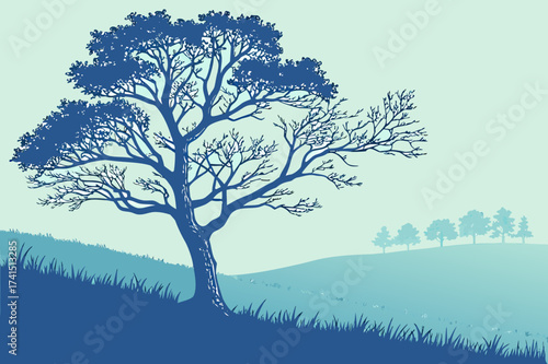 Bare Tree Silhouette with Perched Bird and Flying Birds Vector - Duotone Graphic