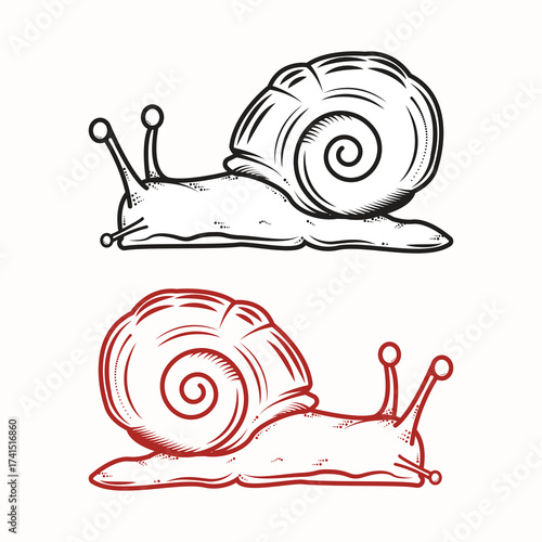 Vintage Line Art Snail Black and Red Vector Illustration 