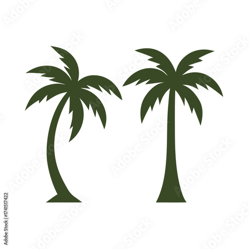 Vector illustration Two dark green palm trees on white background tropical nature