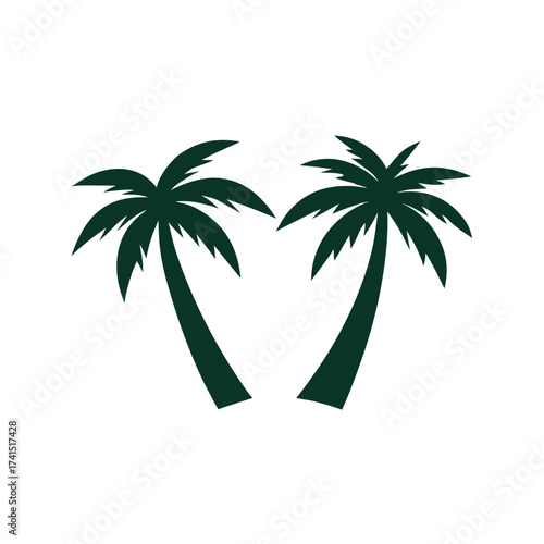 Vector illustration Two dark green palm trees silhouette on white background