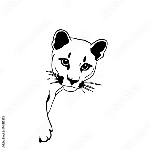 Mountain Lion. Mountain Lion simple black and white line art vector logo