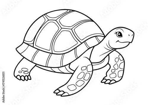 turtle vector illustration