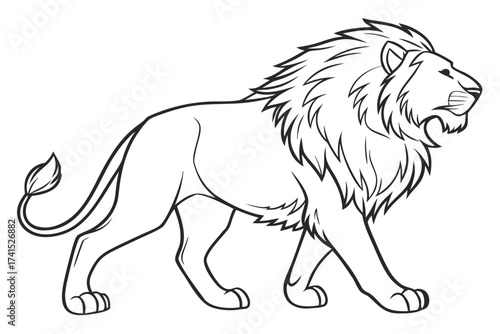 lion vector illustration