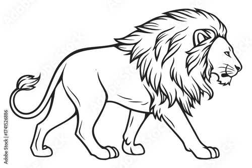 lion vector illustration