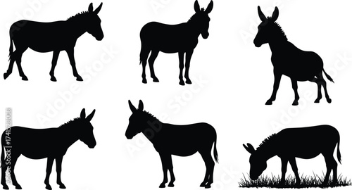 Donkey Silhouette Vector Set Showing Grazing, Standing, and Natural Poses for Farm Animal, Wildlife, and Educational Design Projects