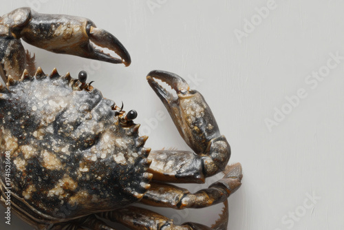 Close up of crab claws on white background