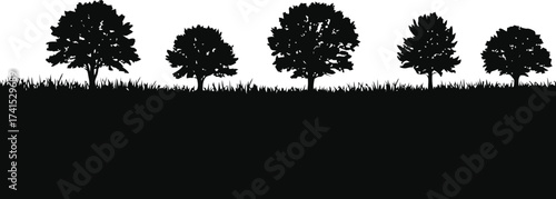 Silhouette of rural farm trees and grass against a sky with a dark field below
