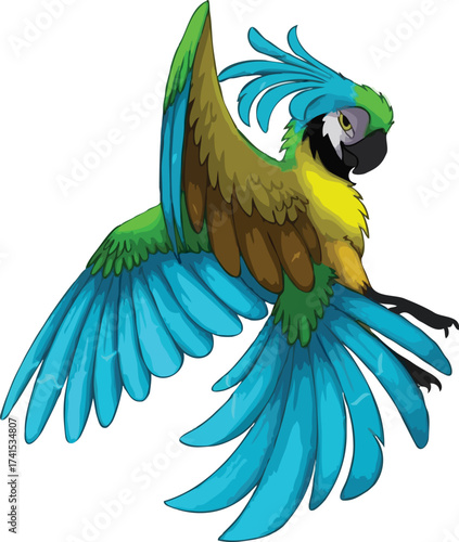 A macaw