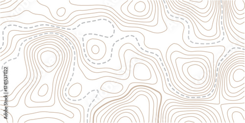 Abstract topo contour map on white background, Topographic map Topographic contour lines map seamless pattern. Geographic mountain relief diagram line wave carve pattern