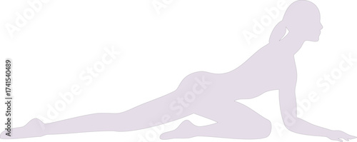 Silhouette of a Woman in a Reclining Pose human