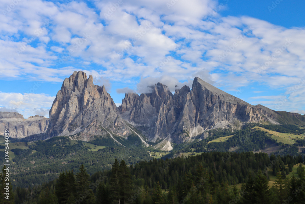 Obraz premium Alpe di Suisi - beauty of Italian Dolomites