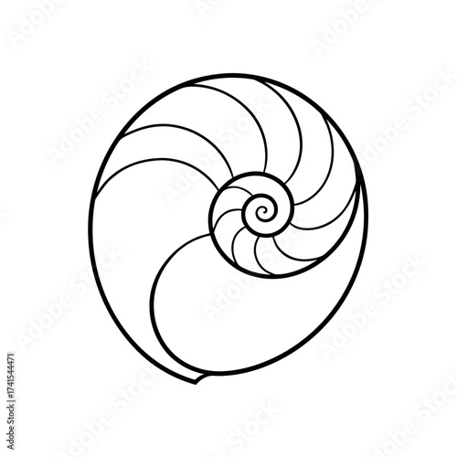 Nautilus shell with spiral line pattern art silhouette