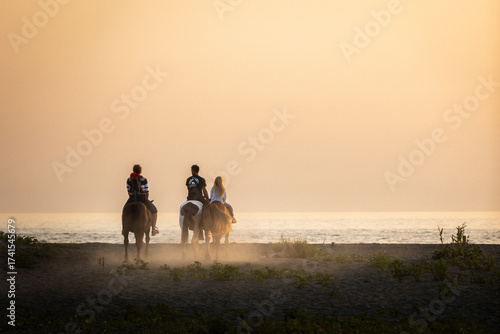 horses on the beach