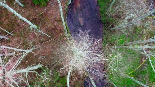 Aerial view. Drone flight over the forest in spring.