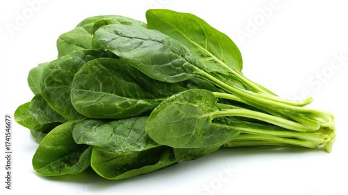 Fresh spinach leaves bunch bright green healthy vegetables nutrition