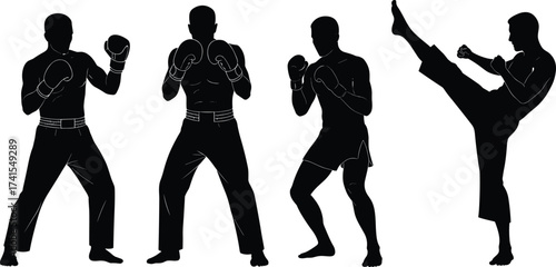 Martial arts silhouettes, boxing stance, kickboxing pose, high kick action, combat sports illustration, fighter posture, vector design for training, fitness, discipline