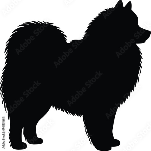 Silhouette of a fluffy samoyed dog standing profile isolated on white background
