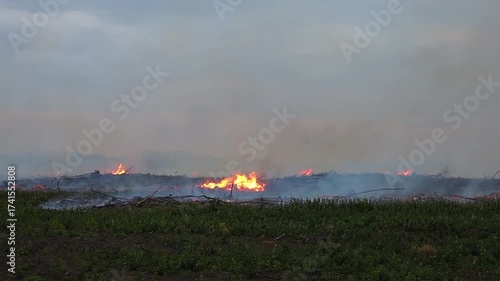 fire in field static video