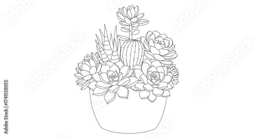 Succulent arrangement in a pot, a beautiful collection of various types of succulents in a pot