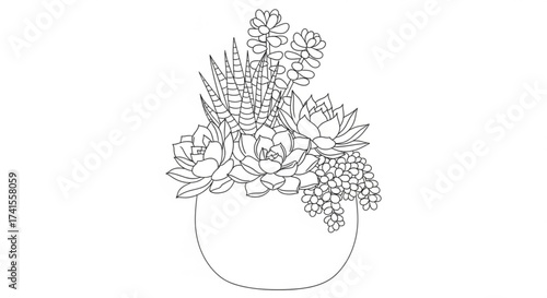 Succulent arrangement in a pot, a beautiful collection of various types of succulents in a pot