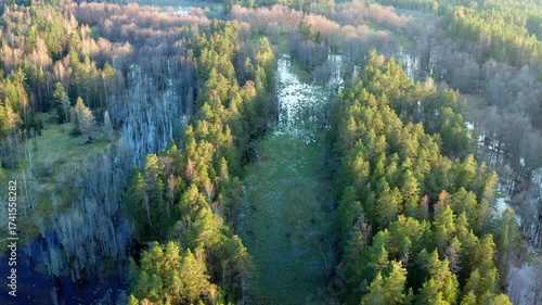 Aerial view. Drone flight over the forest in spring.