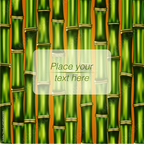 Bamboo background in a realistic style banner with your own text placement vector image