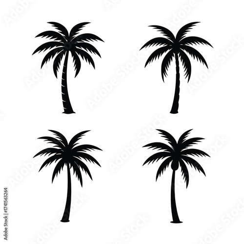 set of palm trees, betel nut tree vector art