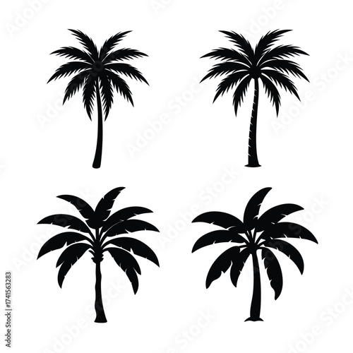 Banana tree, palm trees silhouettes