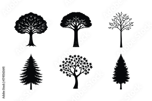 Tree Silhouette Graphic Collection
