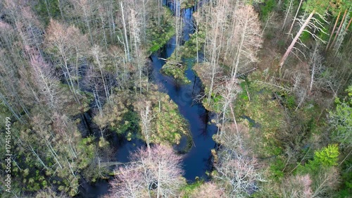 Aerial view. Drone flight over the forest in spring.