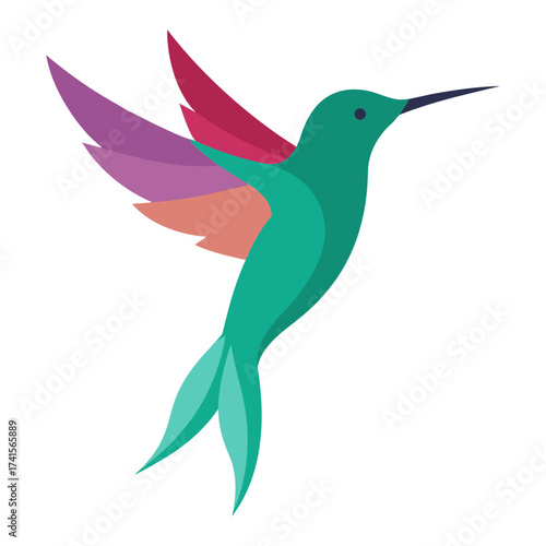 hummingbird illustration
