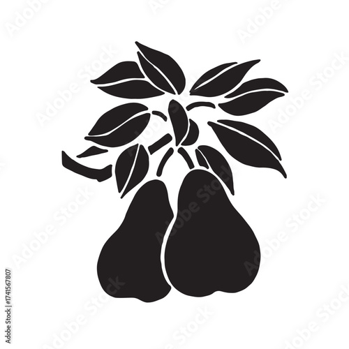 Fruit vector  design 