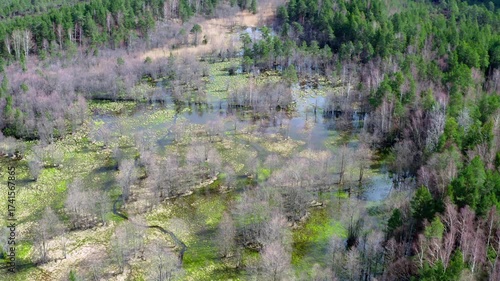 Aerial view. Drone flight over the forest in spring.