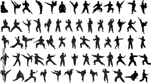 silhouettes of people karate