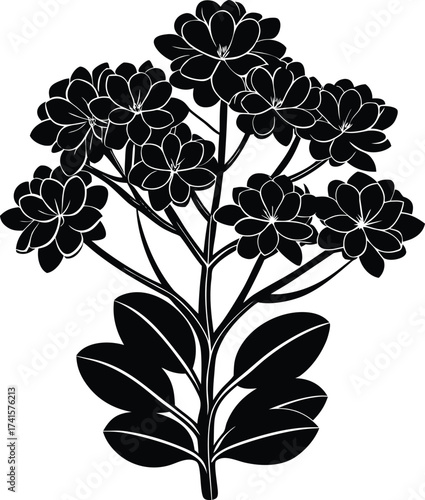 Abstract fluid art swirling patterns with metallic gold and black tones isolated on transparent background