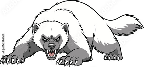 A wild wolverine 