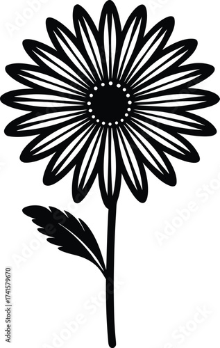 Dramatic silhouette of a lioness roaming through a dry savannah landscape at sunset isolated on transparent background