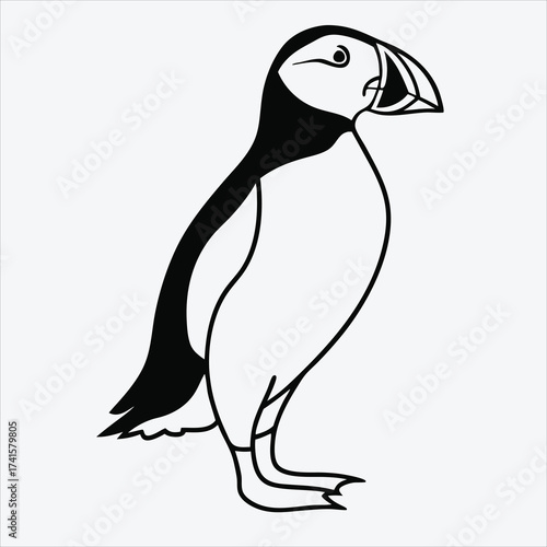 Puffin line art White background illustration Generative Ai