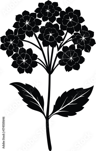 Abstract swirl nebula galactic cloud cosmic starfield design isolated on transparent background