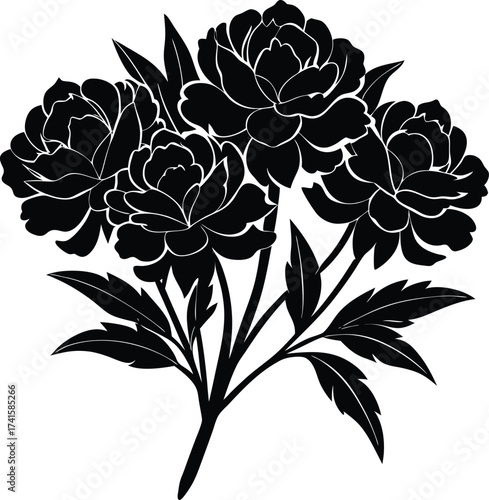 A single leaf captured in detail showing natural veins and texture isolated on transparent background